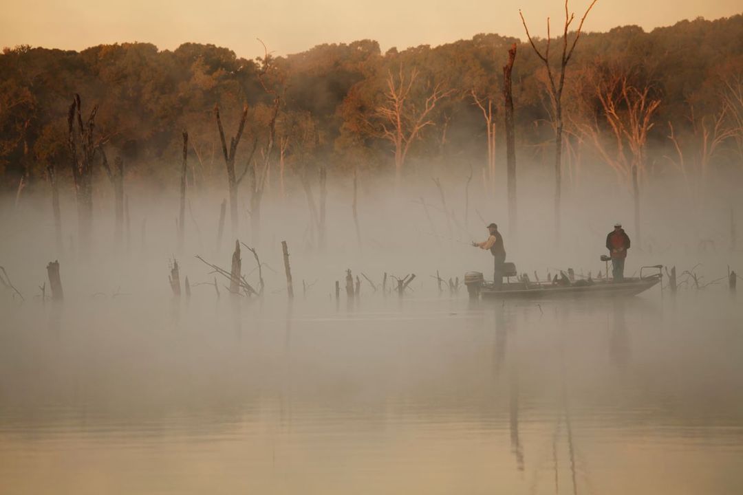 Best Bass Lures for Cloudy Days Tips & Tricks